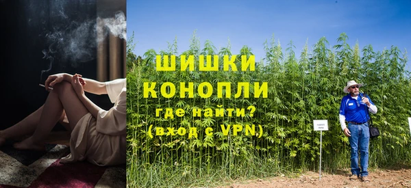 PSILOCYBIN Медногорск