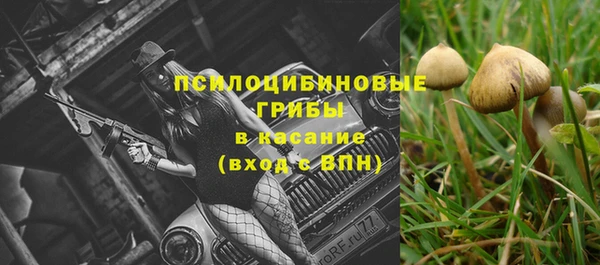 PSILOCYBIN Медногорск