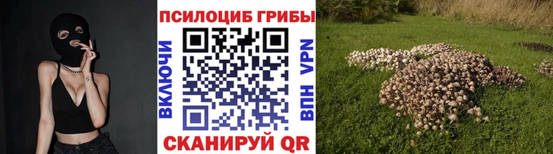 Галлюциногенные грибы Psilocybe  Борисоглебск 