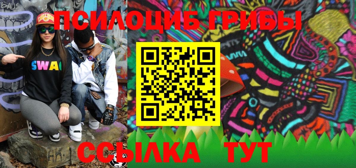 Галлюциногенные грибы прущие грибы  Борисоглебск  Псилоцибиновые грибы Psilocybe 