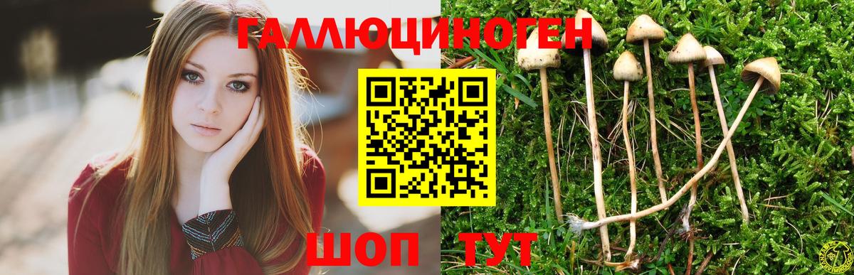 Псилоцибиновые грибы Magic Shrooms  Псилоцибиновые грибы Psilocybe  Борисоглебск  Вход с VPN 