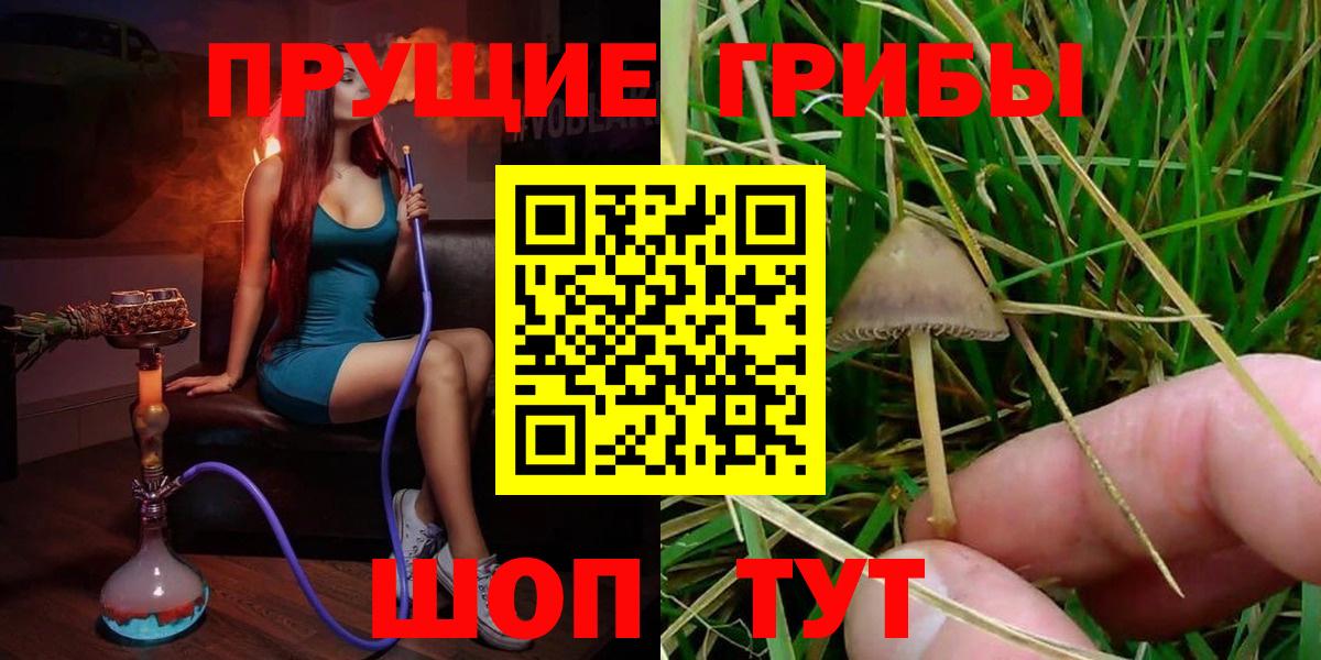 Галлюциногенные грибы Cubensis Борисоглебск