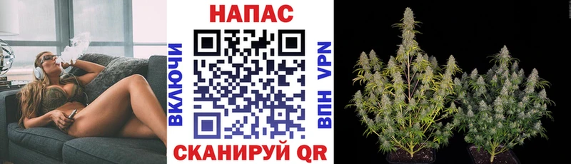 Марихуана тримм  где найти   Борисоглебск 